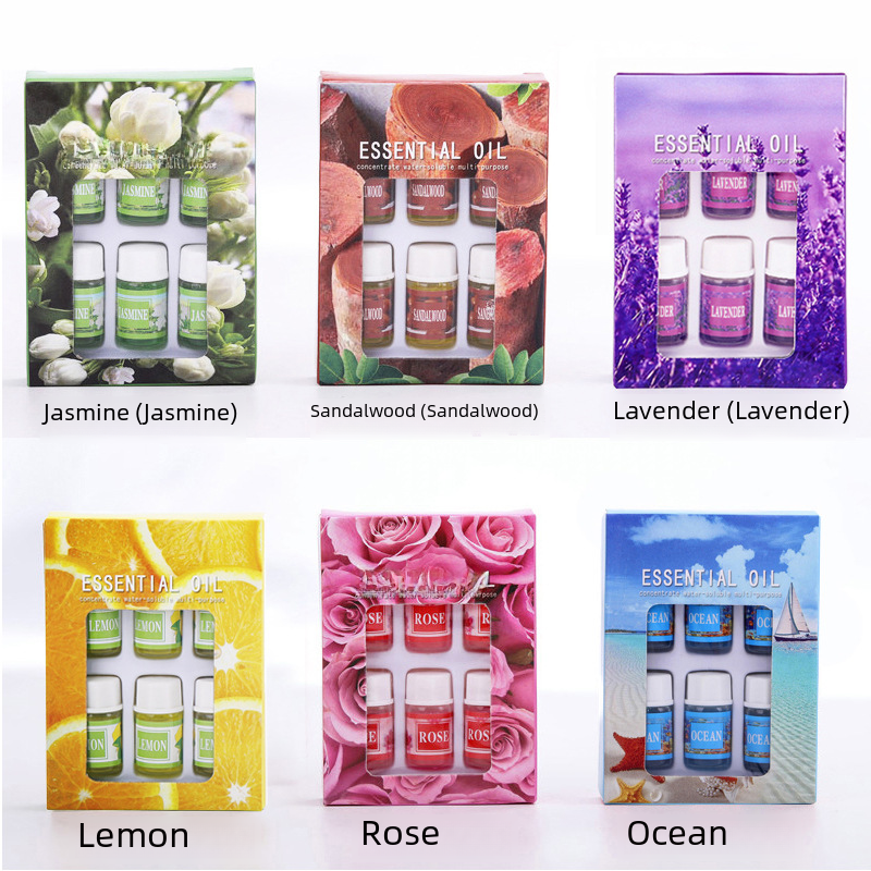 Wholesale 6 pieces of 3ML aromatherapy essential oil water-soluble aromatic liquid multi-purpose humidifier for home use in English cross-border