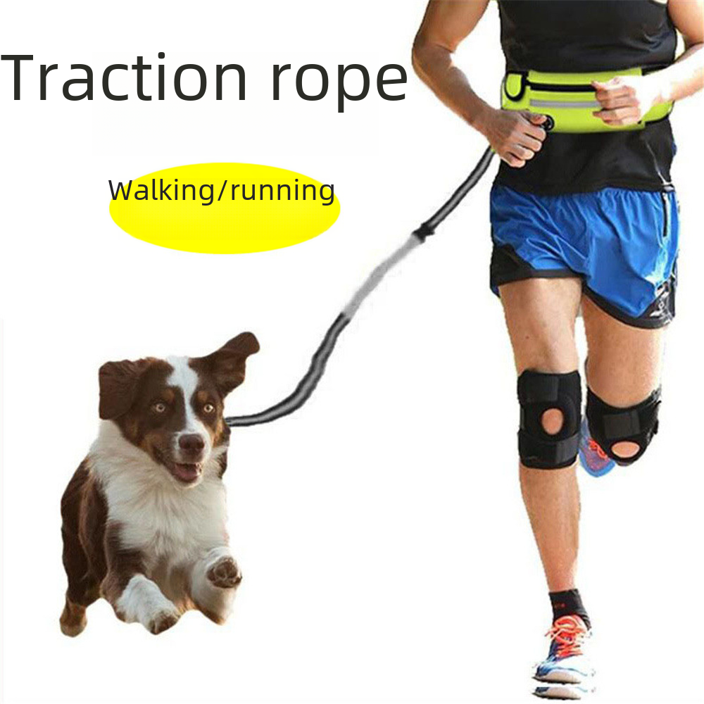 Sports Waist Bag Traction Rope Set Outdoor Running Dog Leash Pet Supplies Dog Rope Source Factory