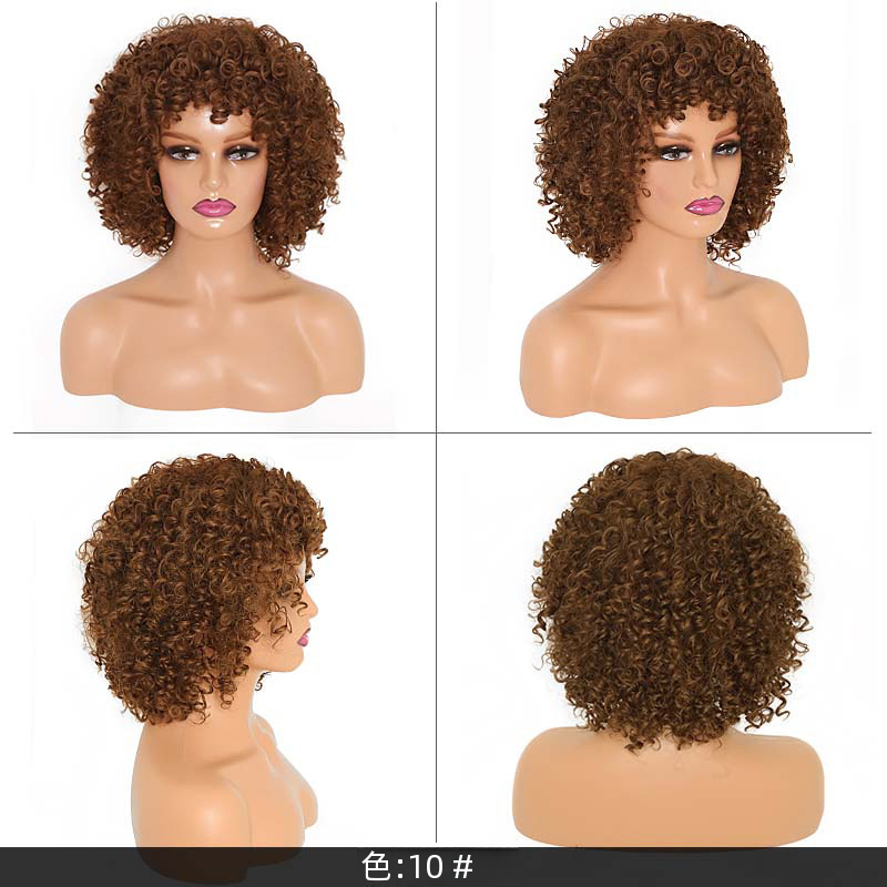 クラシック小さなカーリーウィッグ高温シルクロングカーリーヘア人工毛カバー女性のかつらアマゾンホット販売|undefined