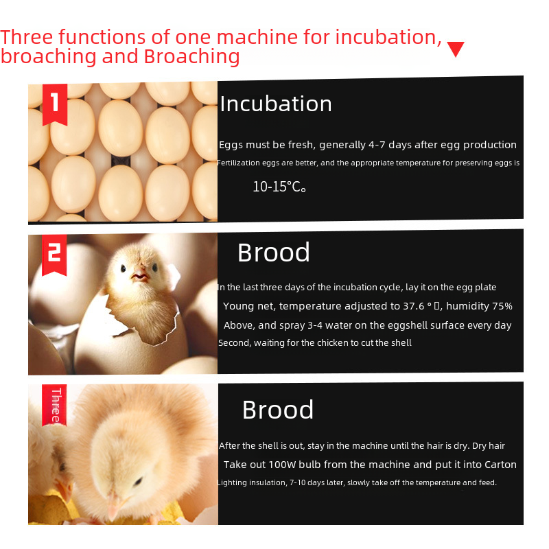 Medium and Large-Scale Home Fully Automatic Egg Incubator Intelligent Large and Medium Livestock Incubation Machine Egg Incubation Box