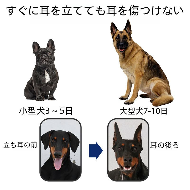 犬のグルーミングツールペットの清潔さ美容機器犬バスブラシコームセット小型中大型犬用|undefined